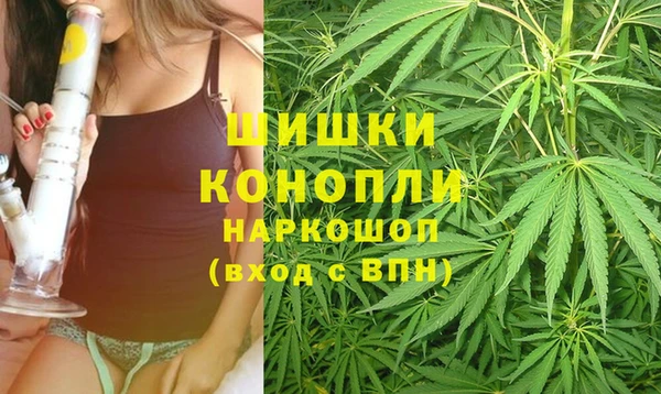 PSILOCYBIN Гусев